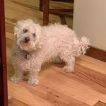 Lori Peringer Gerber - @suby1_99yahoo - Instagram