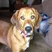 Lori Gerdesmeier - Facebook