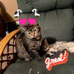 Lori Gibb - Facebook