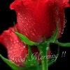 Saurabh_S_Tandale - @lori_gipson - TikTok