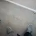 loriaglaser1 - @loriaglaser1 - TikTok