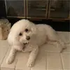 lorigoldfarbber58 - @lorigoldfarbber58 - TikTok