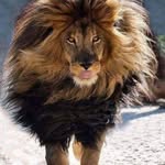 Lori Gomez - @lori.gomez.3994 - Instagram