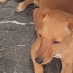 Lori_goncalves - @lori_goncalves5 - Instagram
