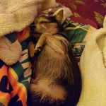Lori Gould - @snmnstrz413 - Instagram