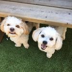 Lori Gould - @lorigould11 - Instagram