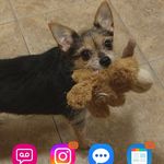 lori gould - @lbgould51 - Instagram