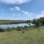 Lori Gould - @grassroots_environmental - Instagram
