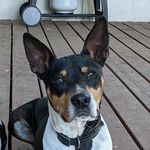 LoriGould - @lori_gould_ - Instagram