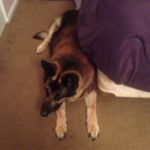 Lori Greenleaf - @lori.greenleaf62 - Instagram