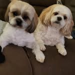 Lori Greenleaf - @lorigreenleaf - Instagram