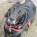 Lori Mc Gregor - Facebook