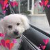 Lori Griffiths - Facebook