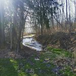 Lori Griffiths - @soul_driver13 - Instagram