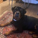 Lori Koesel Griffiths - @lorigriffiths13 - Instagram
