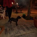 Loris Grimaldi - @grimaldiloris - Instagram