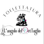Lorenzo Mattarolo - @lori_groomer - Instagram