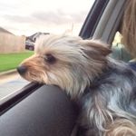 Lori Bailey Grover - @mizlogro21 - Instagram