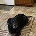 Lorie Grover - Facebook