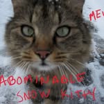 Lori Grow - @sidekick5678 - Instagram