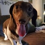 Lori Stephenson Guess - @loriaguess - Instagram