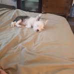 Lori Guffey - Facebook