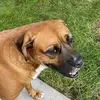 loriguffeyhatch - @lori.guffey.hatch - TikTok