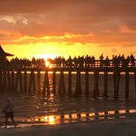 Lori Hafner - @bazilbear - Instagram