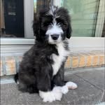 Lori Haggerty Schneck - @schnecker3 - Instagram