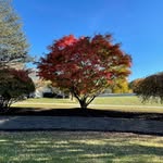 Lori Hahn - @hirt64 - Instagram