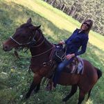 Lori Hahn - @_lorihahn - Instagram