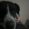 Lori Hamby - @lori.hamby - TikTok