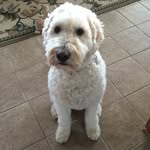 Lori Hammett - @lori.k.hammett - Instagram