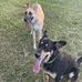 Lori Hanlon Haggerty - Facebook