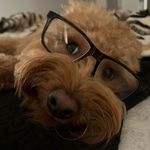 Lori Hardwick - @lorimhardwick - Instagram