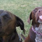 Lori Harmon - @lori.harmon.56 - Instagram