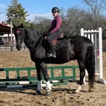 Lori Harmon - @lorihharmon - Instagram