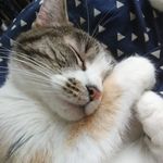Lori Harmon - @lori_ann_harmon - Instagram