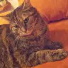 Loris Harms - @lorisharms - TikTok