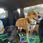 Lori Harp - @lori.harp.winn - Instagram