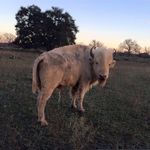 Lori Hasty - @lkay27_p3 - Instagram