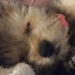 Lori Hatfield - @mone_hat - Instagram