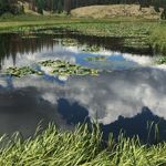 Lori Hathaway - @lori_hat - Instagram