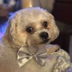 Lori Hay-Eldon - @lori0512 - Instagram