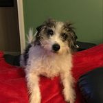 Lori Hayman Goolsby - @lorigoolsby - Instagram
