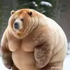 Lori Heath - @lori.heath76 - TikTok