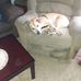 Lorrie Hedberg - Facebook