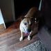 Lorrie Hedberg - Facebook