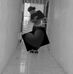 Laura Haylin - Facebook