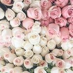 Lorraine Hegarty - @lorrainehegarty084 - Instagram